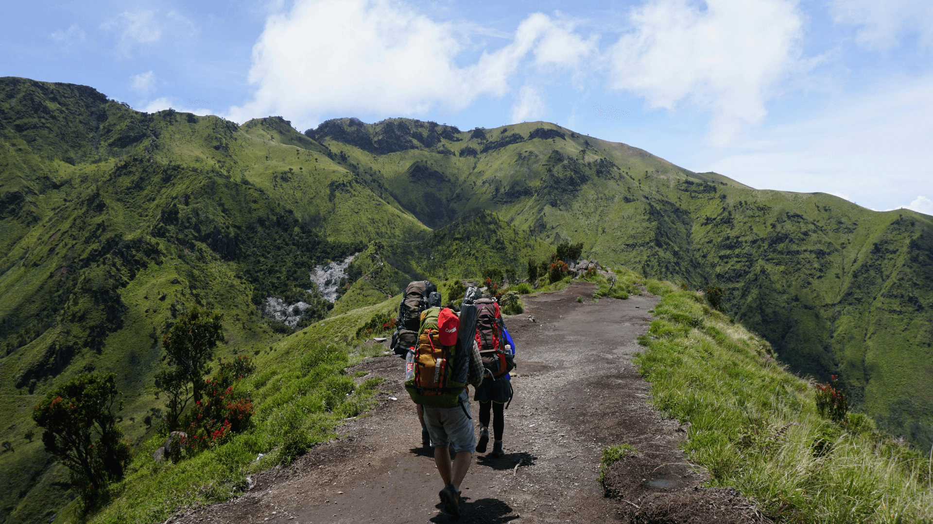 Featured image for the article