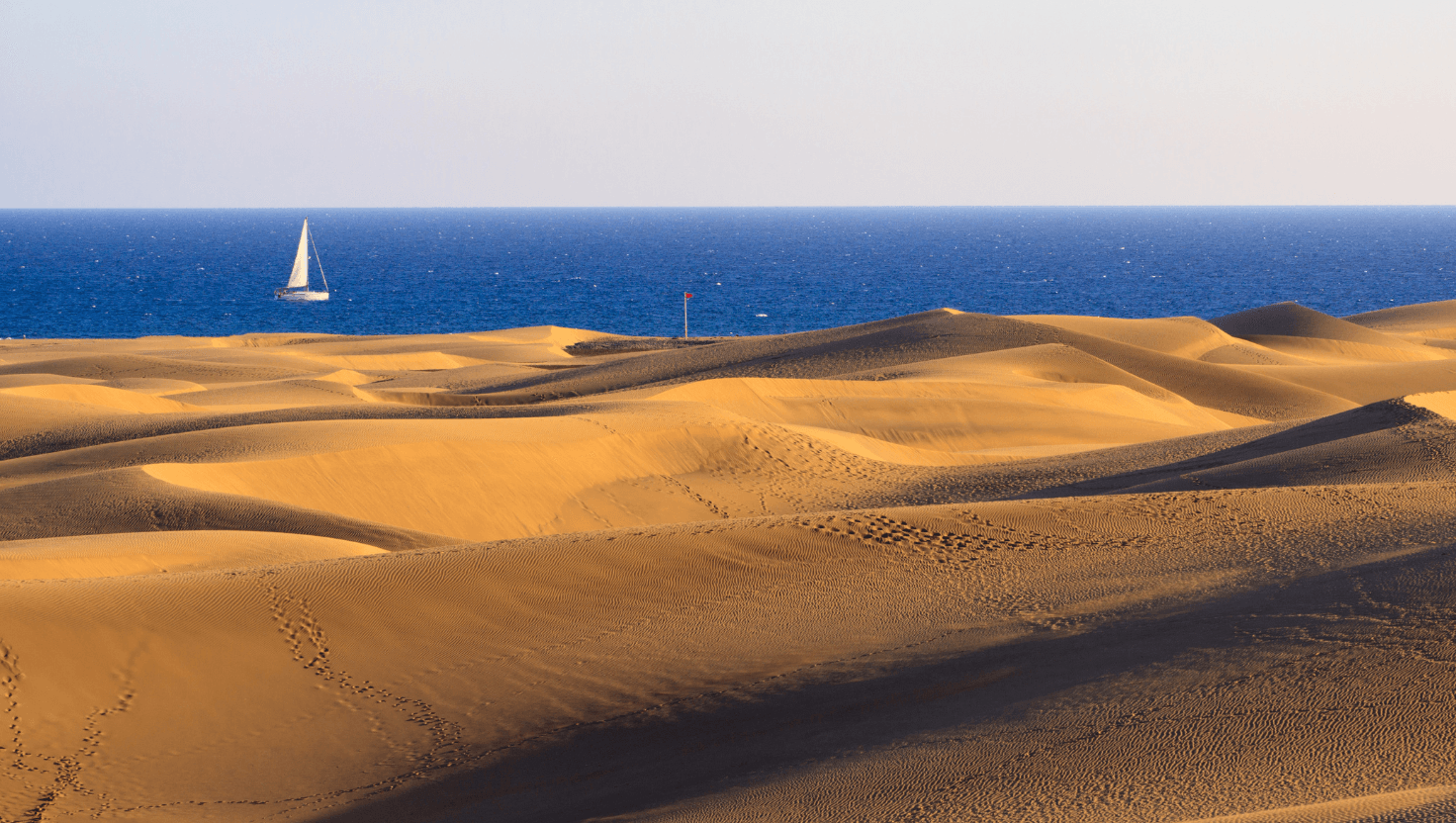 Featured image for the article