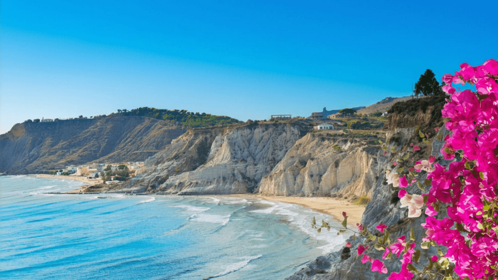 Featured image for the article